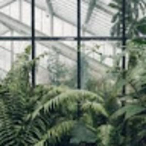 Meet your Posher, Hailey